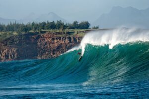 The Spirit of Hawai'i - Albee Layer