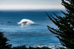 Surfers in the ocean with a large wave, framed by trees