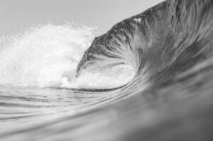 Black and white photo of a curling wave in the ocean