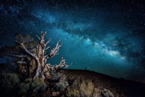 Eternal Stillness