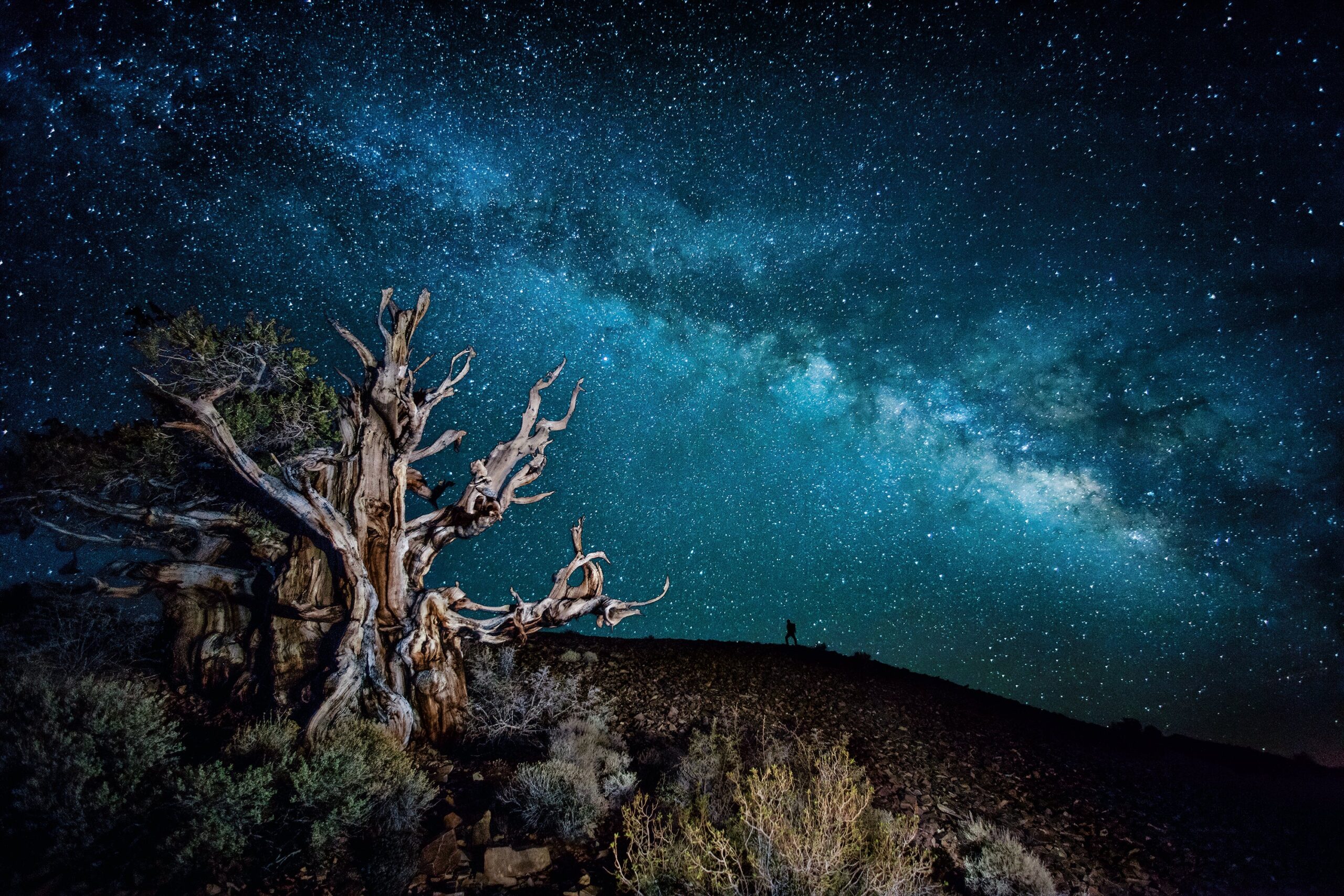 Eternal Stillness