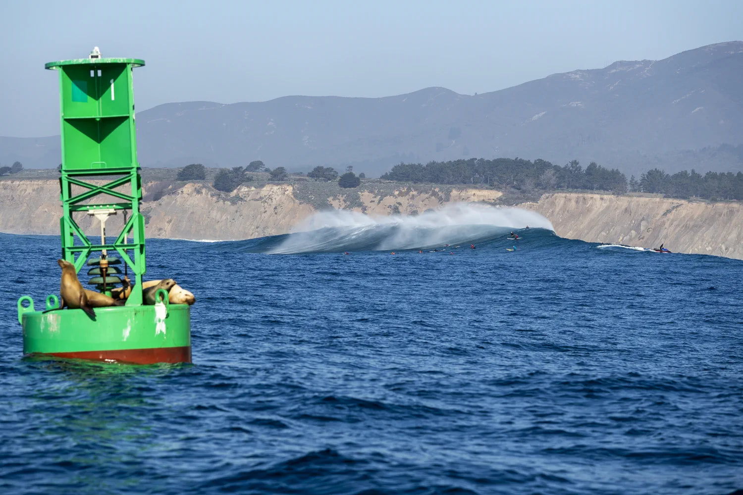 Mavericks big wave surfing back view, February 6 session.
